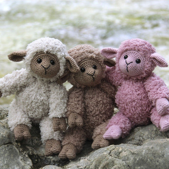 

Teddy Basserne
2