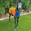 

Wally - Maglione per cani
2
