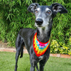 

Dandy Hundehalstuch
1