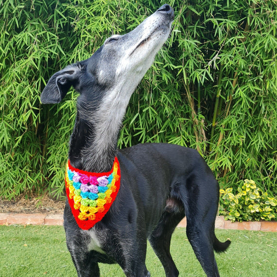 

Dandy - Bandana per cane
3