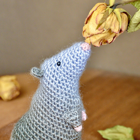 

Die Ratte Rüdiger
5