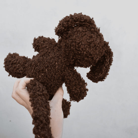 

Cavapoo
5
