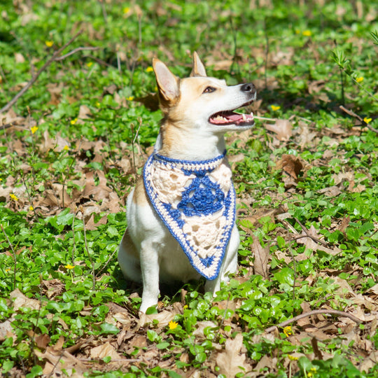 Gina - Bandana per cani
