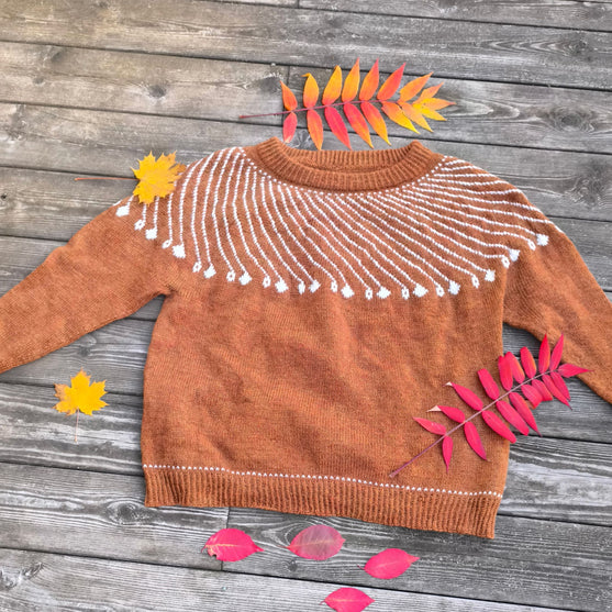 

Shooting Star - Pullover
5