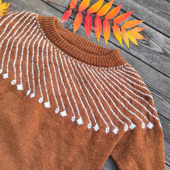 

Shooting Star - Pullover
6