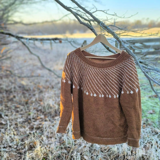 

Shooting Star - Pullover
2