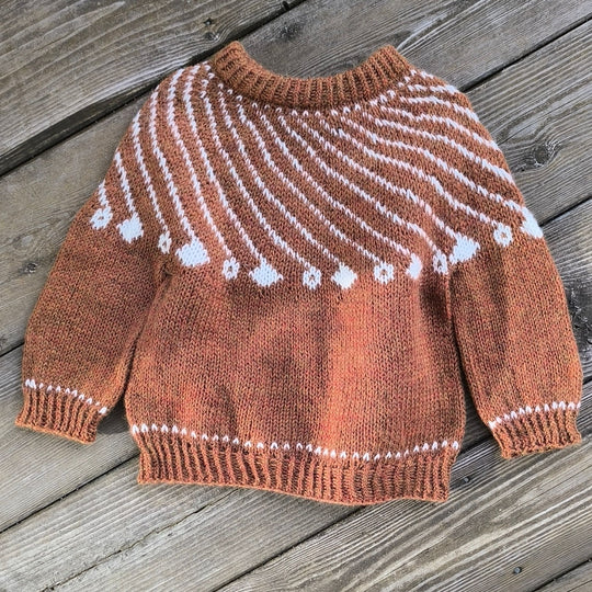 Shooting Star - Kinderpullover