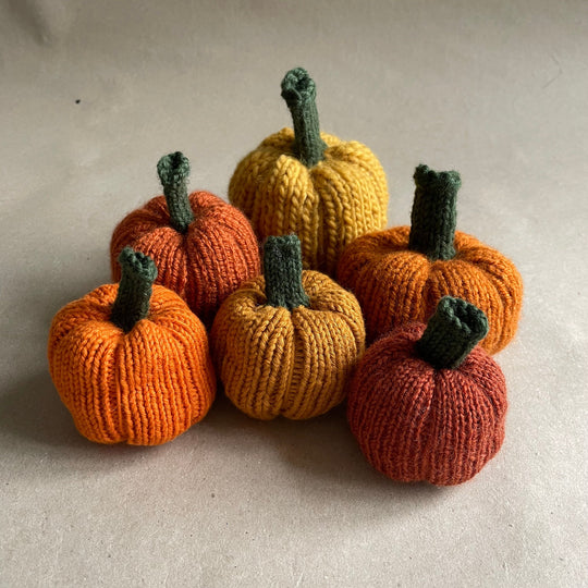 Mini-Kürbis - Kleine Deko-Kürbisse