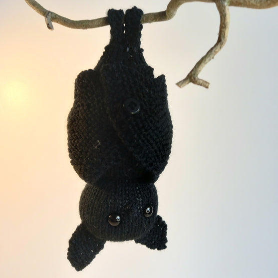 

Pipistrello Bernard
5