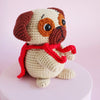 

Cookie le Super Carlin
3