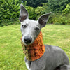 

Doggy Bobble - Schalkragen
1