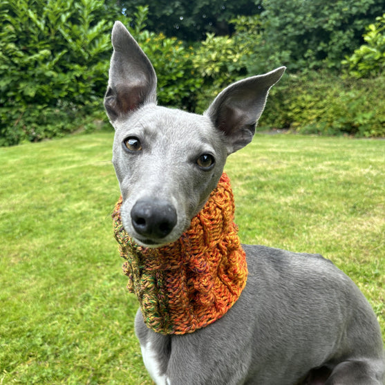 

Doggy Bobble - Schalkragen
1