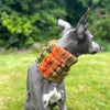 

Doggy Bobble - Schalkragen
3