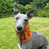 

Doggy Bobble - Schalkragen
1