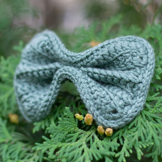 

Wow Bow - Hundefliege
5