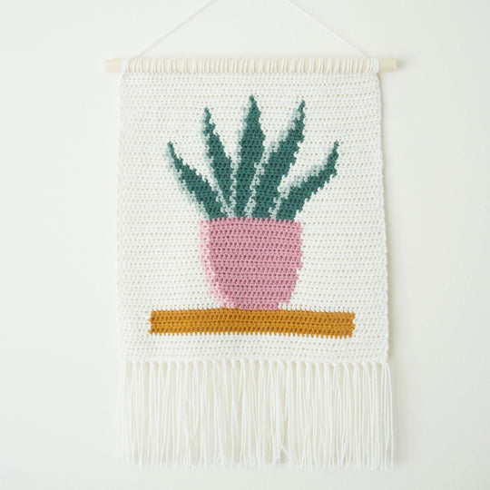 Snake Plant - Wandbehang