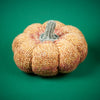 

Zucche giganti
6