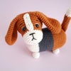 

Gus, der Basset
4