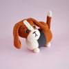 

Gus, der Basset
5