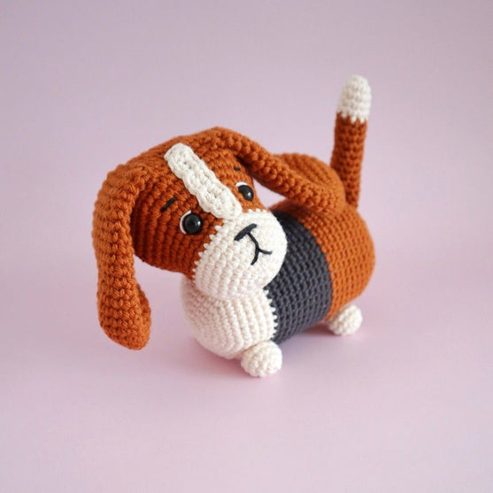 

Gus, der Basset
5