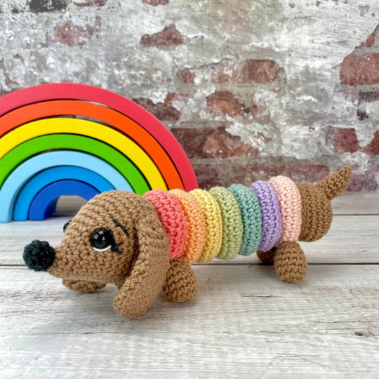 Ringo der Regenbogenhund
