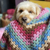 

Dora - Hundedecke
1