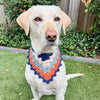 

Lola’s Bandana - Hunde Bandana
1