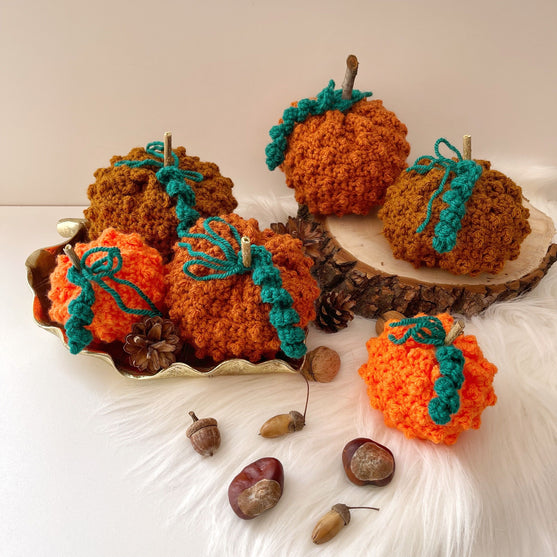 

Bumpy Pumpkin - Kürbis
1