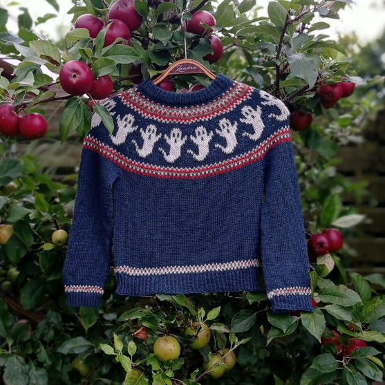 

Bhoo - Kinderpullover
1