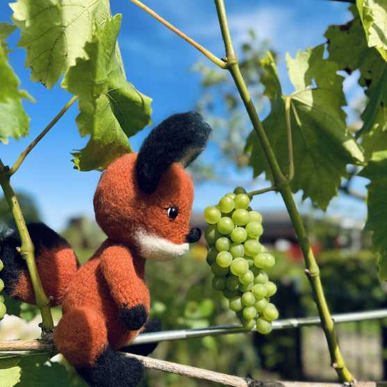 

Felix, der Fuchs
4