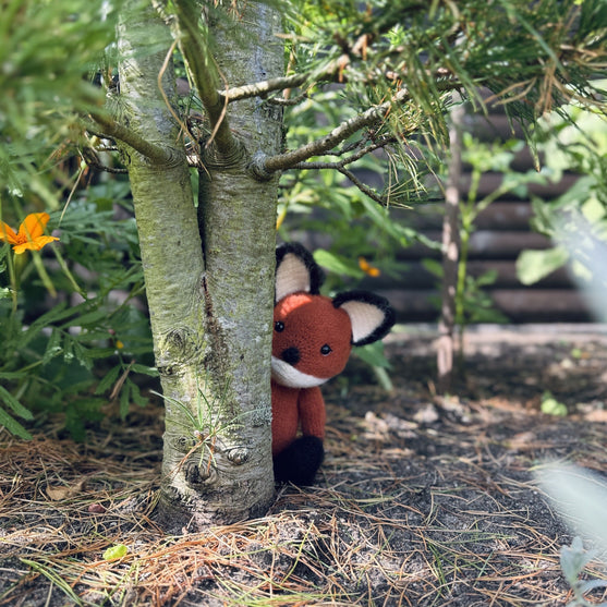 

Felix, der Fuchs
5
