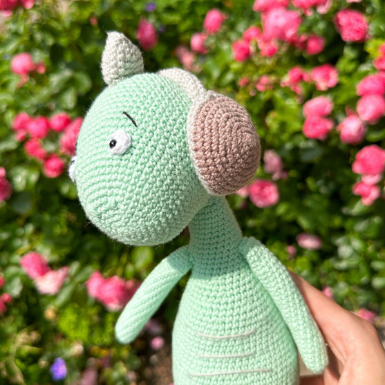 

Safi il Dinosauro
4