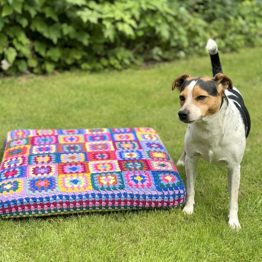 Kafkas Hundebett