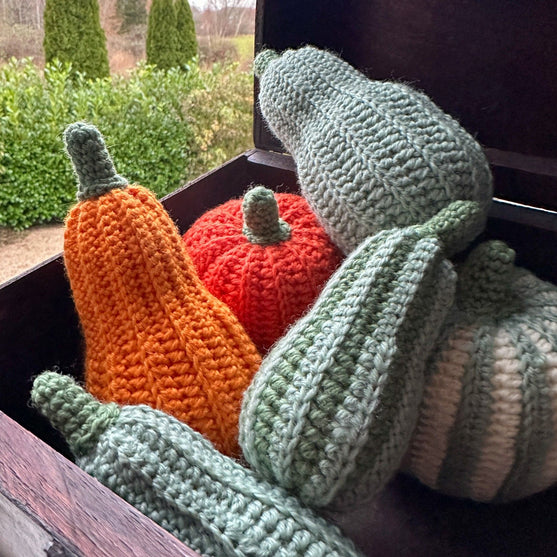 

Dekorationskürbis - Länglich
1