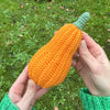 

Zucche decorative - Lunghe
5