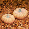 

Zucche giganti
3