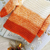 

Pumpkin Pullover
4